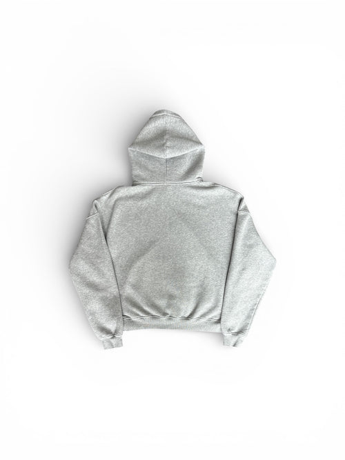 1209 Basic Grey Hoodie
